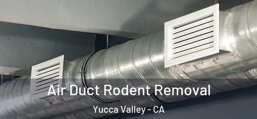  Air Duct Rodent Removal Yucca Valley - CA