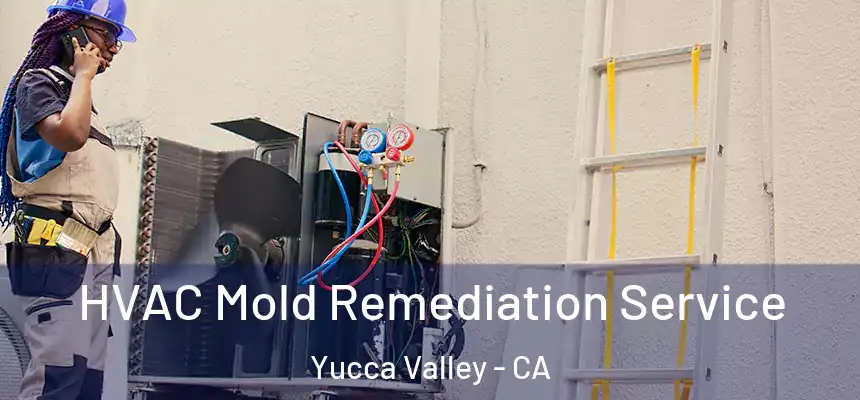  HVAC Mold Remediation Service Yucca Valley - CA