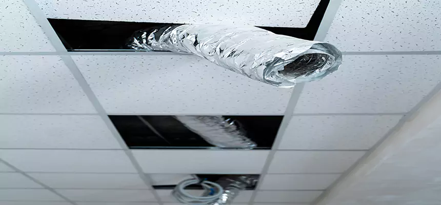 Our Air Duct Pet Hair Removal Services in Yucca Valley, CA