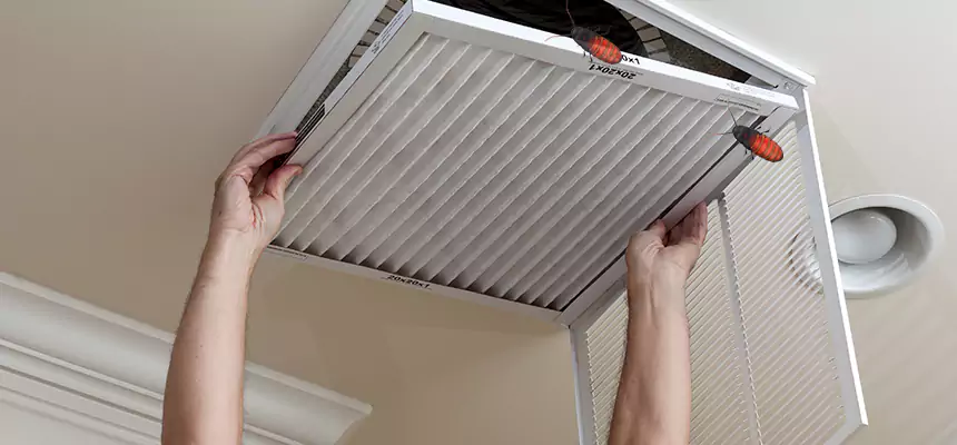 Our Insect Removal from Air Ducts Services in Yucca Valley, CA