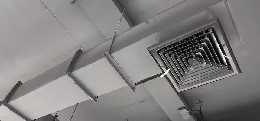 Our Rodent Droppings In Vents Services in Yucca Valley, CA