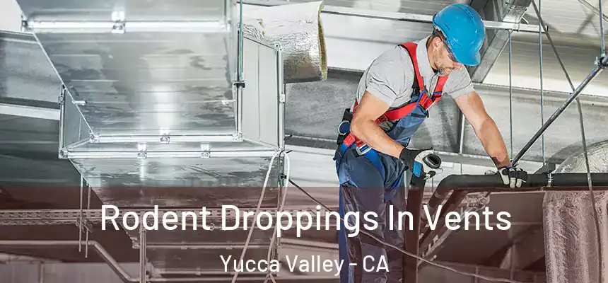  Rodent Droppings In Vents Yucca Valley - CA