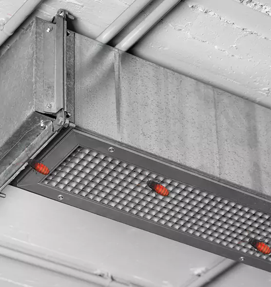 About Air Duct Cockroach Removal in Yucca Valley, CA