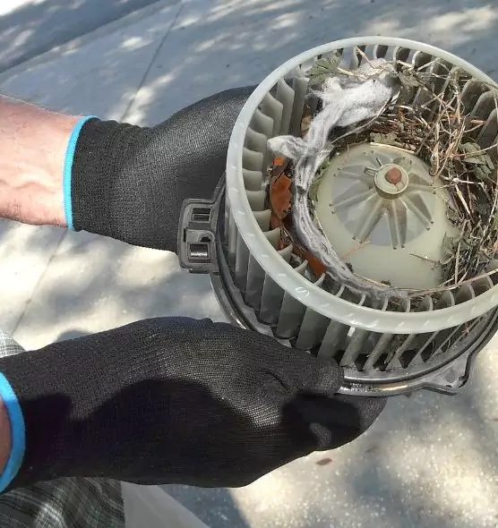 About Air Duct Rat Removal in Yucca Valley, CA