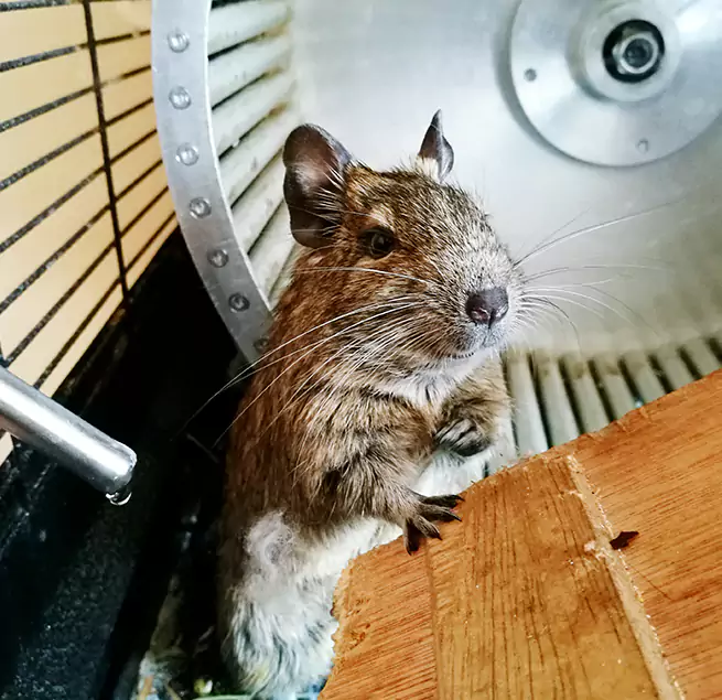 Why Homeowners & Businesses Trust Us Yucca Valley, CA