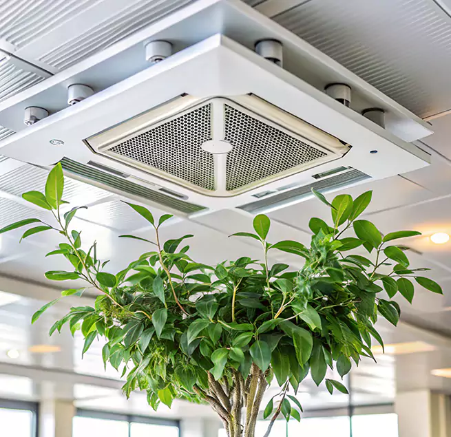 Why Homeowners & Businesses Trust Us in Yucca Valley, CA